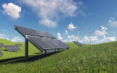 EFICIENCIA ENERGÉTICA: LA IMPORTACIA DE LA CONSERVACIÓN