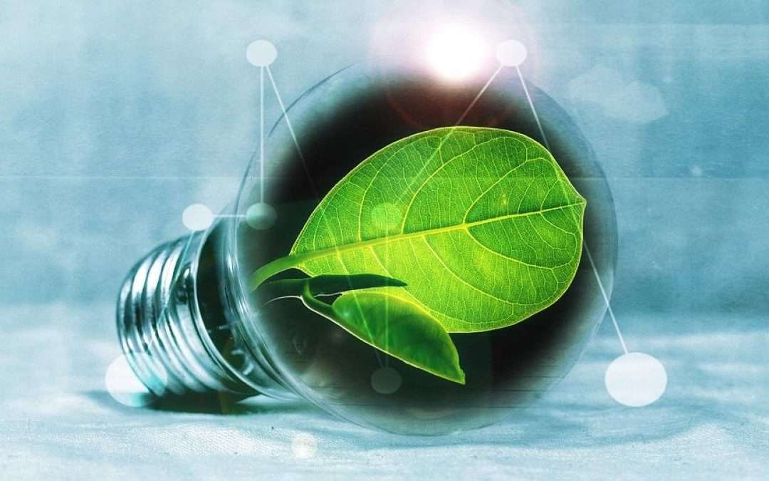 Guía de Ahorro de Energía: Reduciendo el Consumo en TuHogar con «Nacional de Eléctricos»