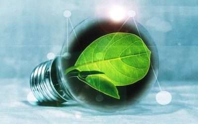 Guía de Ahorro de Energía: Reduciendo el Consumo en TuHogar con «Nacional de Eléctricos»