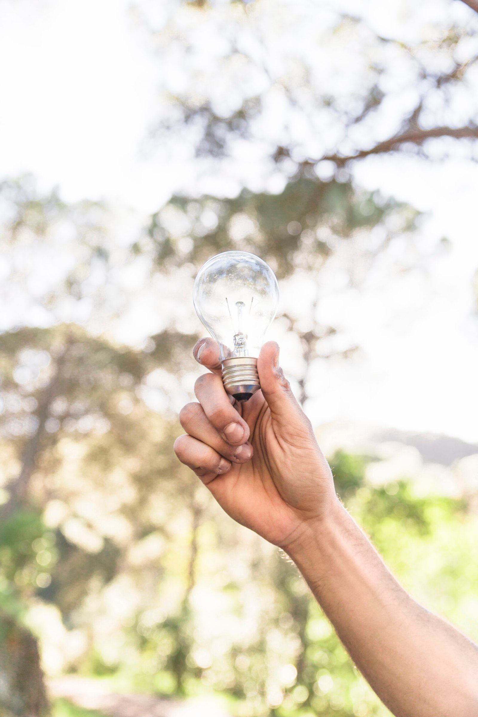 Gestion y calidad de la energia Gestión de calidad y uso razonable de la energía