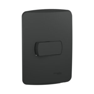 Interruptor, Miluz, conmutadores dos vías, 10AX, 250V, 4x2 ensamblado, grafito - SCHNEIDER S3B62031