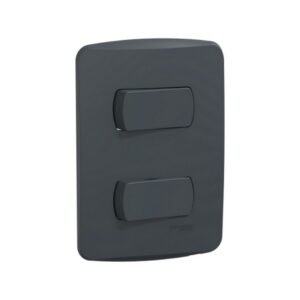 Interruptor, Miluz, 2 conmutadores, 10AX, 250V, 2 módulos, ensamblado, grafito - SCHNEIDER S3B62131