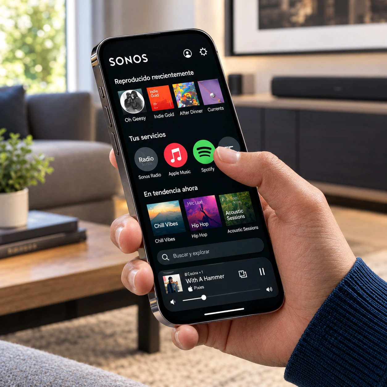 Sonos Port